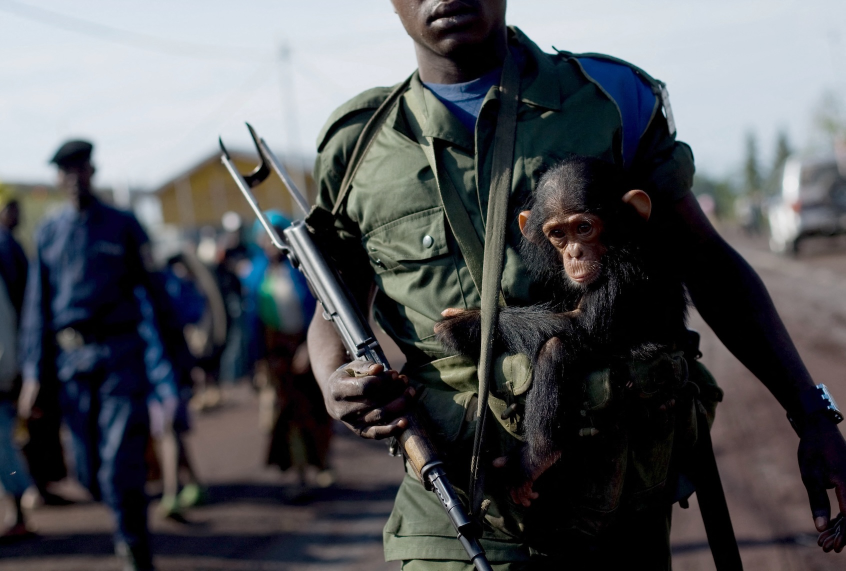 Is war central to human nature? Chimps can’t tell us everything