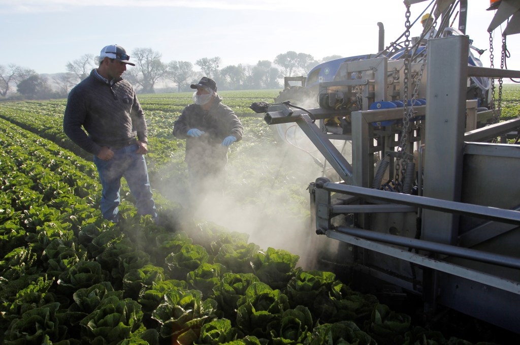 Taylor Farms addresses ‘explosive diarrhea’ cyclosporiasis outbreak and reveals ‘indefinite’ removal decision
