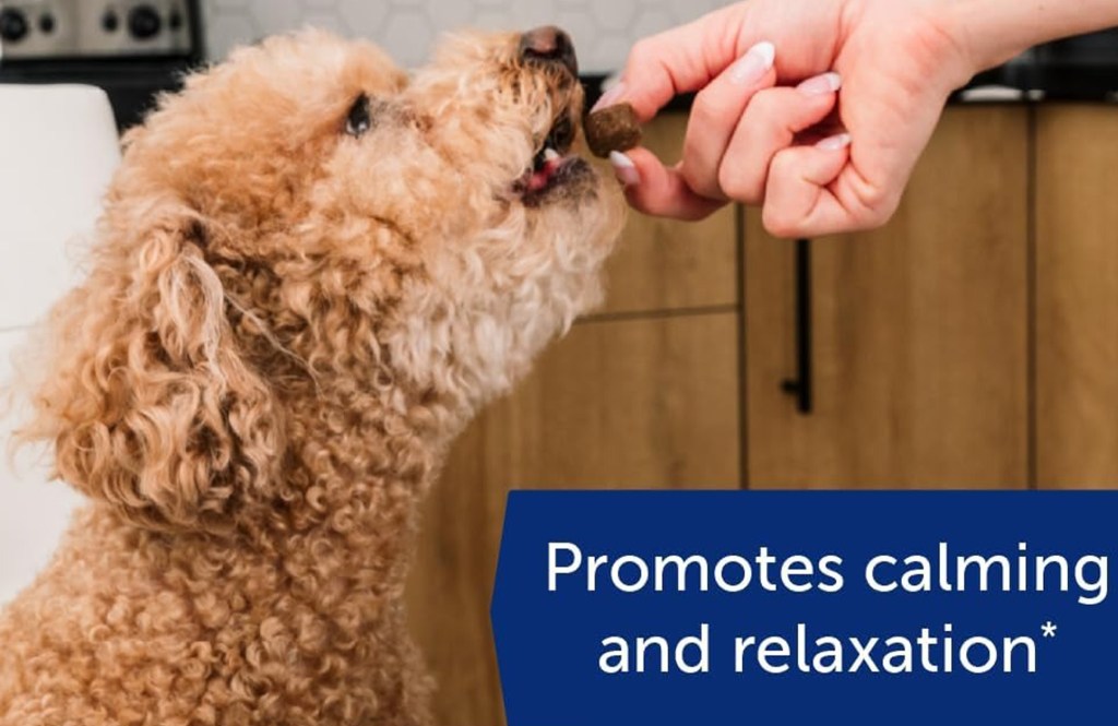 A hand offering a chew to a dog, with text "Promotes calming and relaxation."