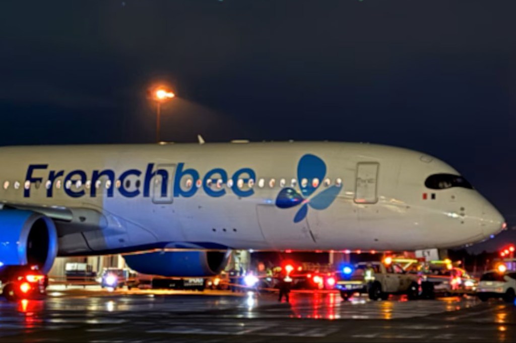 French Bee aircraft on the tarmac at night with emergency vehicles, after an airport employee was struck.