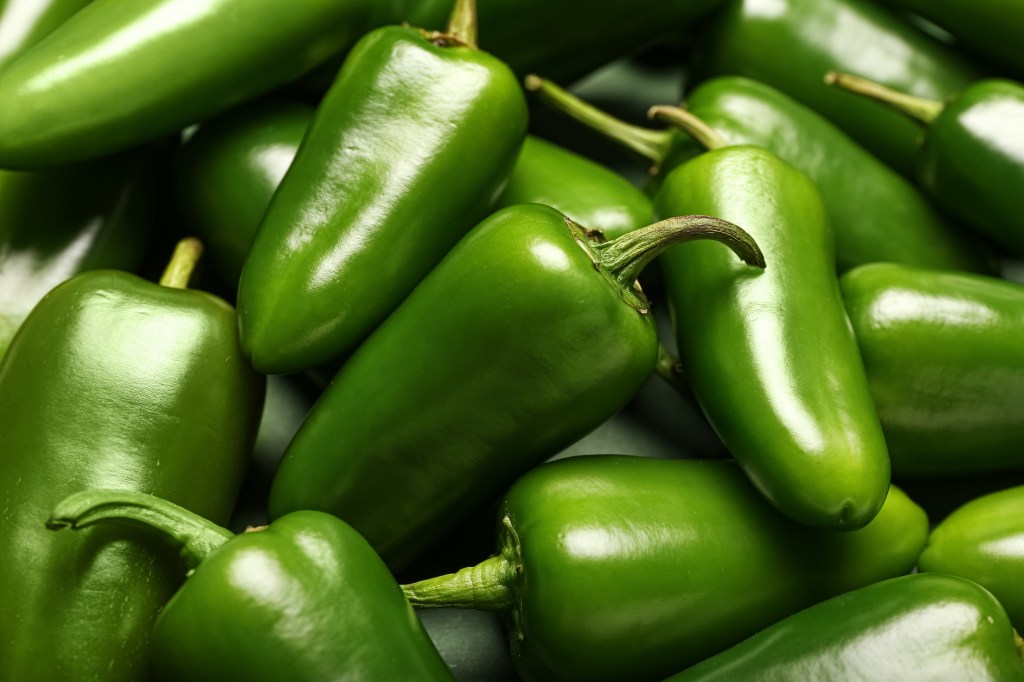 A close-up of a pile of green jalapeno peppers, some with stems visible.