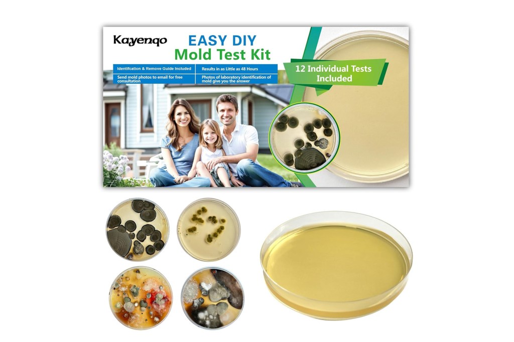 mold testing kit
