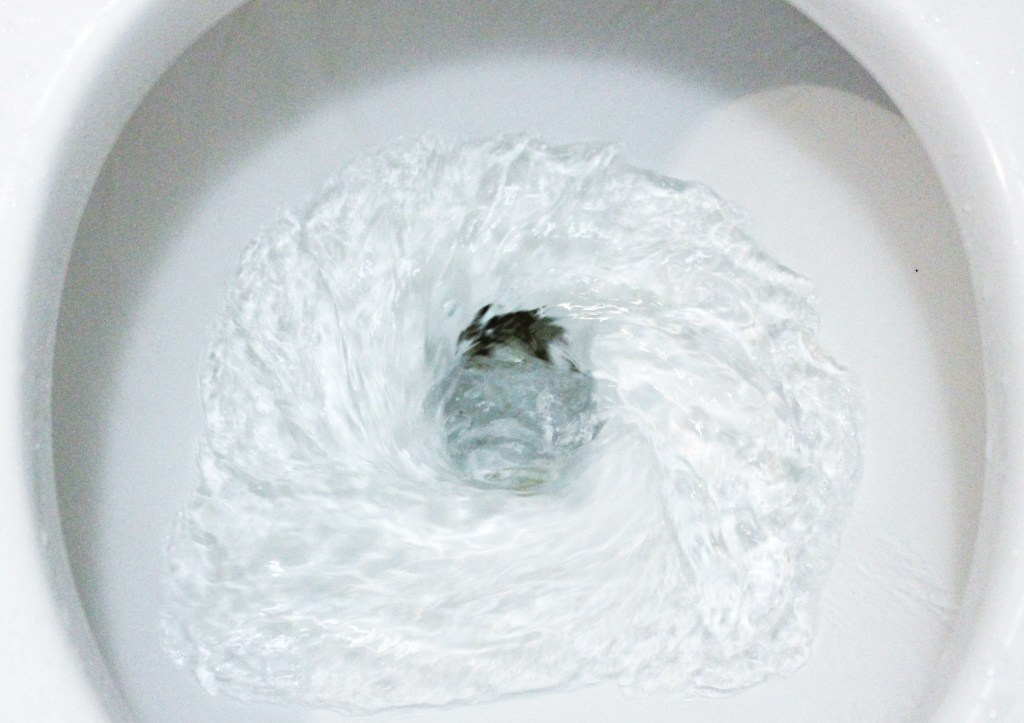 Close-up of a white ceramic toilet bowl flushing water.
